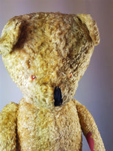 Load image into Gallery viewer, Antique Teddy Bear Straw Filled Soft Toy Animal Large 25 Inch 1920's