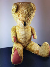 Load image into Gallery viewer, Antique Teddy Bear Straw Filled Soft Toy Animal Large 25 Inch 1920's