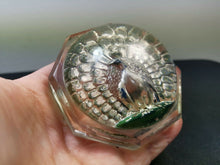 Load image into Gallery viewer, Vintage Glass Paperweight Peacock Bird Intaglio Art Deco 1930's
