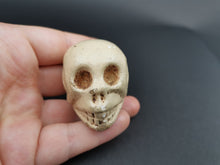 Load image into Gallery viewer, Vintage Miniature Skull Head Sculpture Figurine Ceramic Composition Sculpture Figure