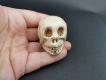 Load image into Gallery viewer, Vintage Miniature Skull Head Sculpture Figurine Ceramic Composition Sculpture Figure