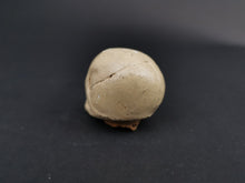 Load image into Gallery viewer, Vintage Miniature Skull Head Sculpture Figurine Ceramic Composition Sculpture Figure