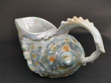 Load image into Gallery viewer, Antique Royal Bayreuth Gravy Boat Jug Creamer Pitcher Nautical Nautilus Conch Sea Shell Seashell Bavaria Germany German Ceramic Porcelain