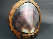 Load image into Gallery viewer, Antique Large Seashell Inside Carved Wood Display Stand Frame Hand Made Sea Shell Nautical Folk Art Sculpture Statue