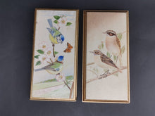 Load image into Gallery viewer, Vintage Miniature Birds Oil Paintings on Wood Pair Set of 2 Signed by Artist Blue Tits and Whin Chats 1965 Original