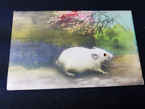 Antique Mouse Post Card Real Photographic Postcard with Glass Marble Bead Eyes Early 1900's Original