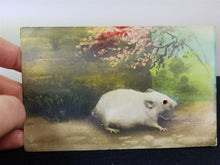 Load image into Gallery viewer, Antique Mouse Post Card Real Photographic Postcard with Glass Marble Bead Eyes Early 1900&#39;s Original
