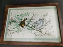 Load image into Gallery viewer, Antique Chinese Birds on Cherry Tree Branch on Rice Paper in Wood Wooden Frame Framed Original Art
