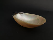 Load image into Gallery viewer, Antique Ashtray Sterling Silver and Shell Early 1900&#39;s Original Moon Seashell Nautical
